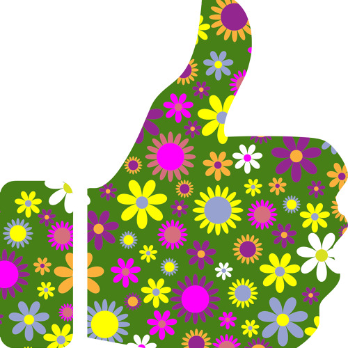 Sommerfest Kleingartenverein Springbrunnen e.V.