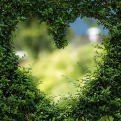 Eröffnung der Ausstellung Garten . Lust . Last . Leidenschaft